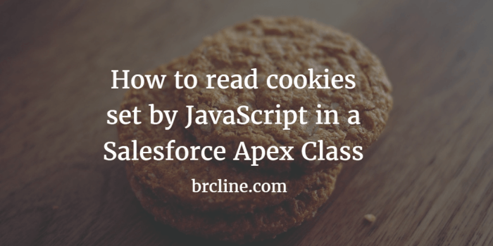 Salesforce cookies a game changer
