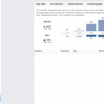 Guide to facebook insights