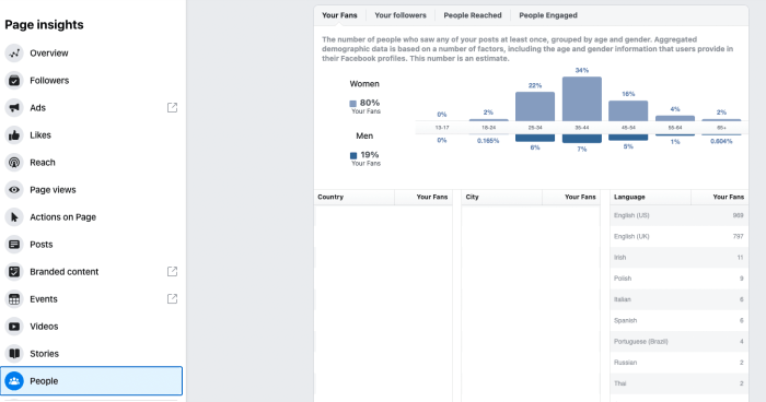 Guide to facebook insights