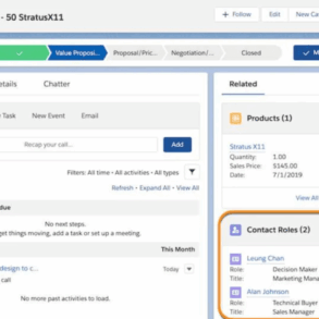 Enhancing business potential with salesforce expertise