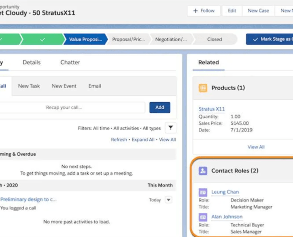 Enhancing business potential with salesforce expertise