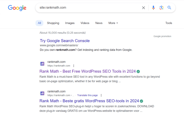 Google search operators guide