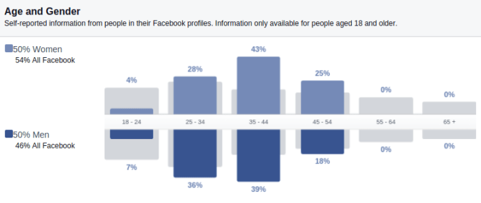 Failing neilpatel audience How to turn around a failing facebook ad campaign