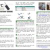 Content with clarity integrity