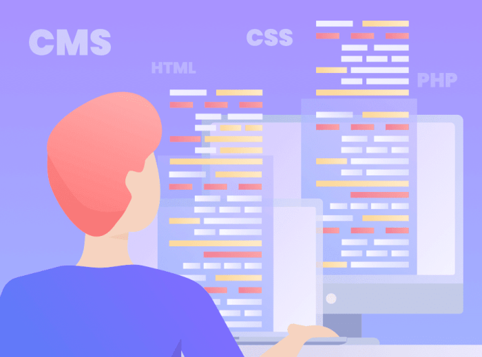 Best cms for seo