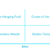 10 popular low hanging fruit search engine optimization techniques