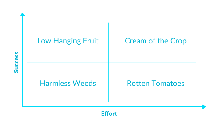 10 popular low hanging fruit search engine optimization techniques