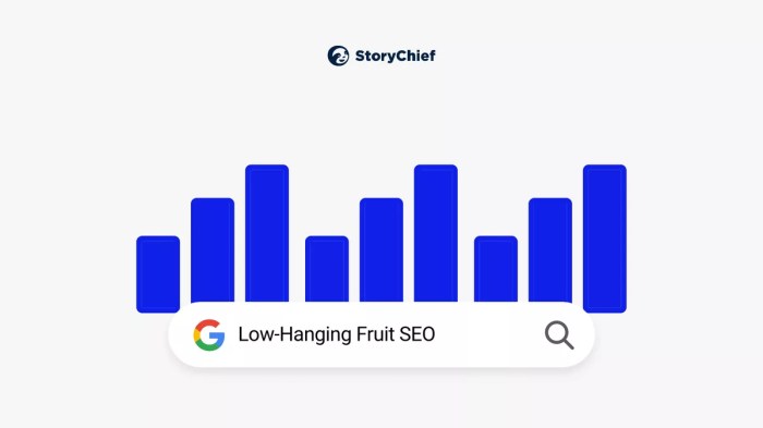 10 popular low hanging fruit search engine optimization techniques