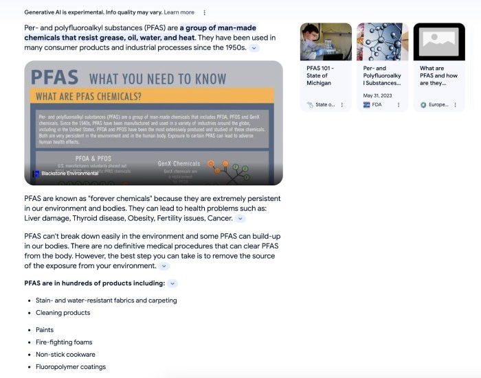 Impact of google sge