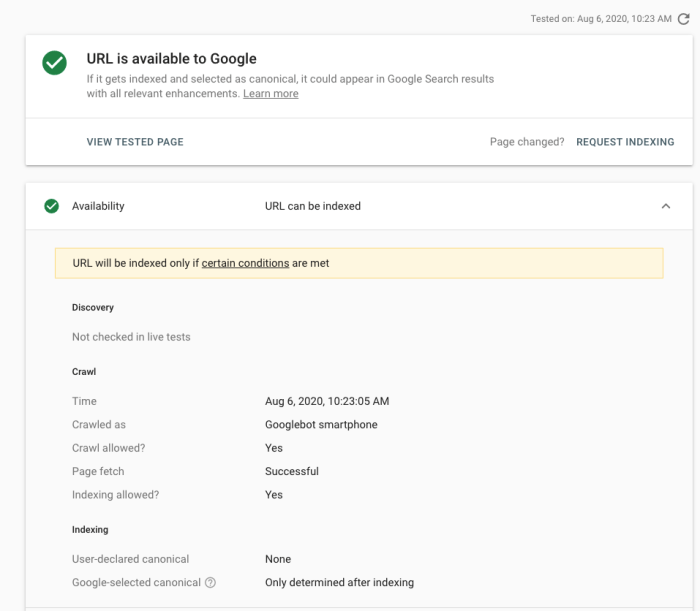 Google search site fix working not how expertrec