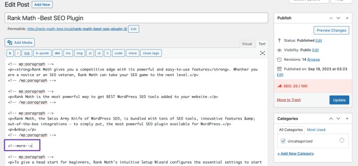Excerpt choose dotted How to add read more tag in wordpress