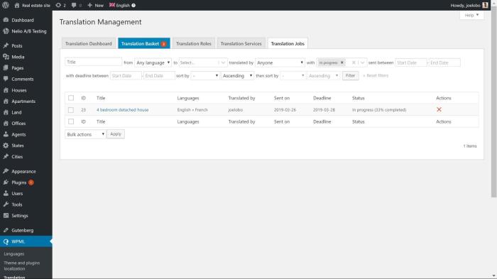 Create a multilingual wordpress website