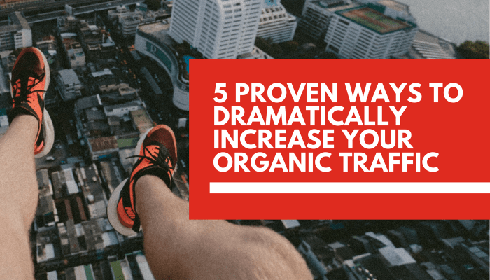 Organic traffic audience segmentation