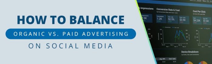 Manage your organic social media to boost your paid performance