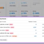 E commerce seo audits