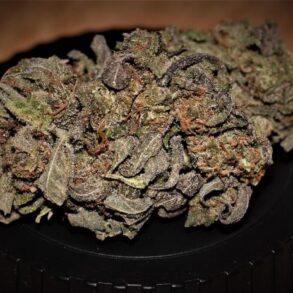 Google maps vs weedmaps which one is better for dispensaries