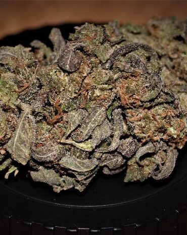 Google maps vs weedmaps which one is better for dispensaries