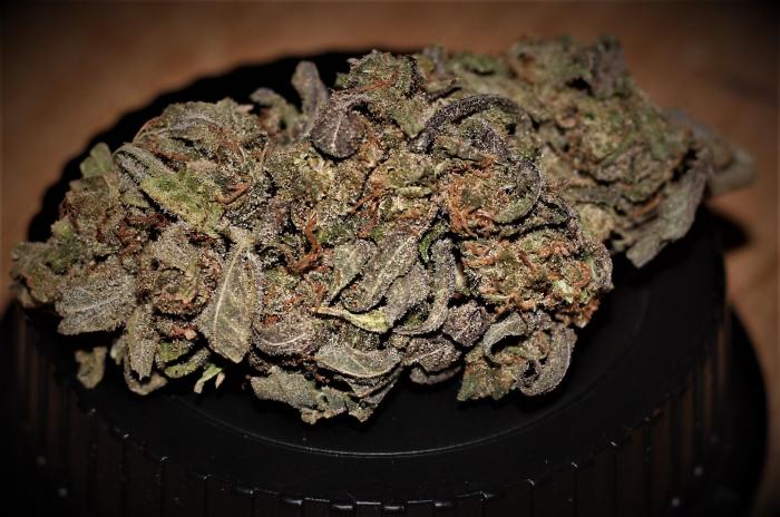 Google maps vs weedmaps which one is better for dispensaries