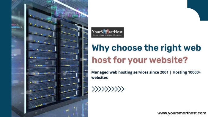Finding a web host to love