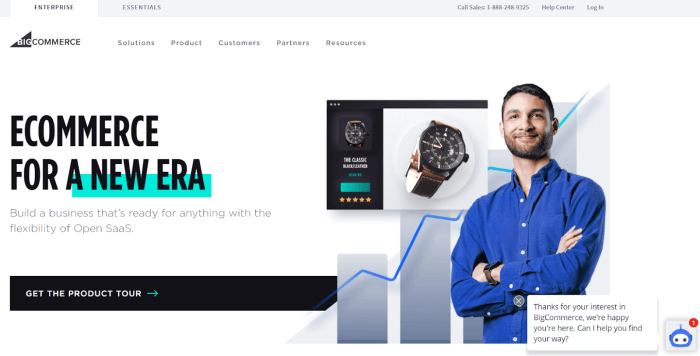 Landing page vs homepage