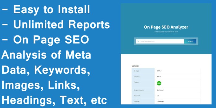 Create your own chatgpt agent for on page seo audits