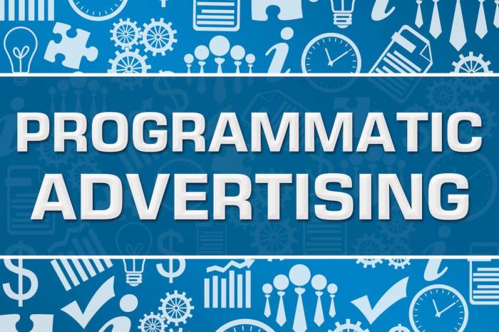 Next up for digital media programmatic premium