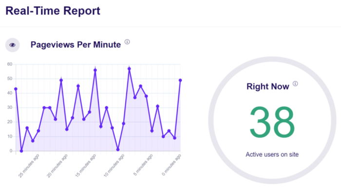 How to track website visitors to your wordpress site