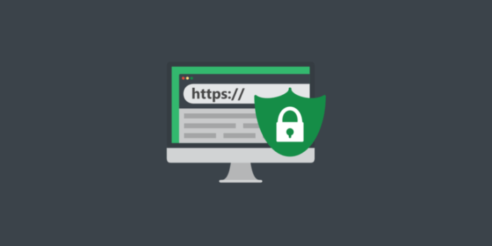 Redirect redirecionar vers rediriger till kinsta Redirect http to https