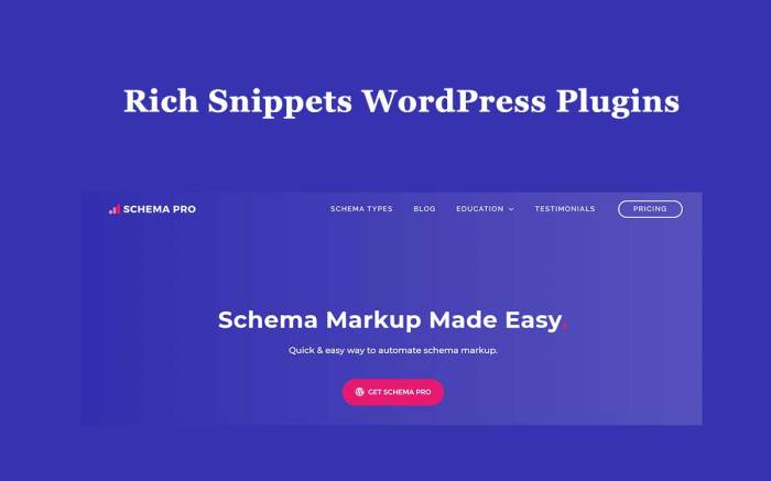 How to use rich snippets in wordpress