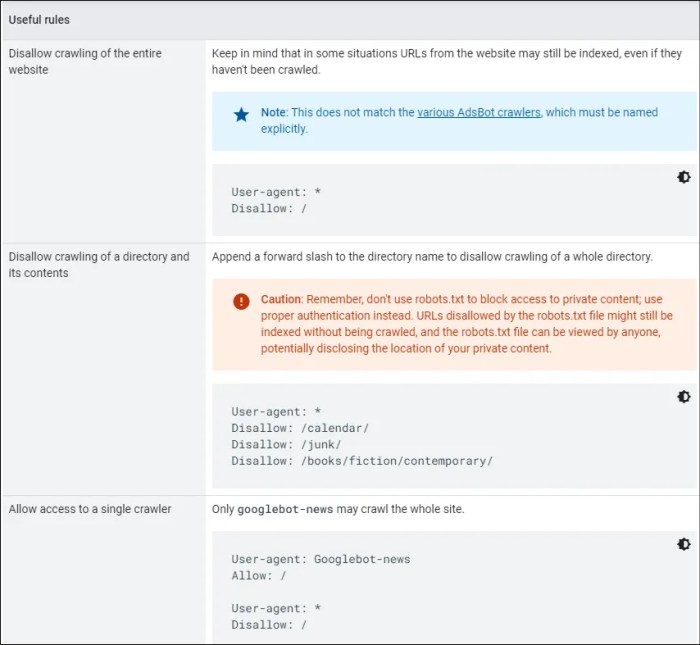 Beginners guide robots txt