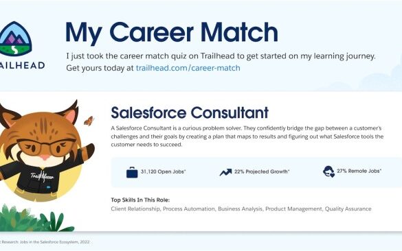 Certified salesforce consultants driving success with expertise