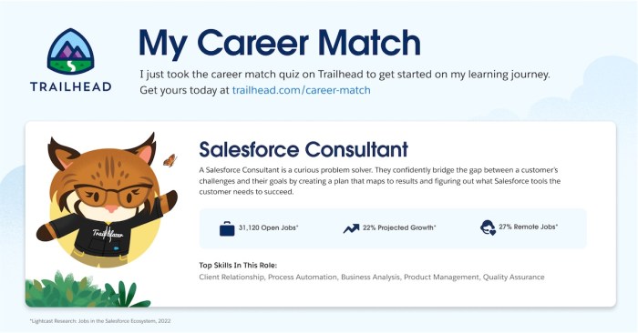 Certified salesforce consultants driving success with expertise