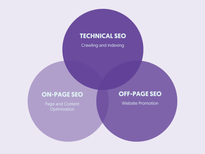 Seo basics Seo basics