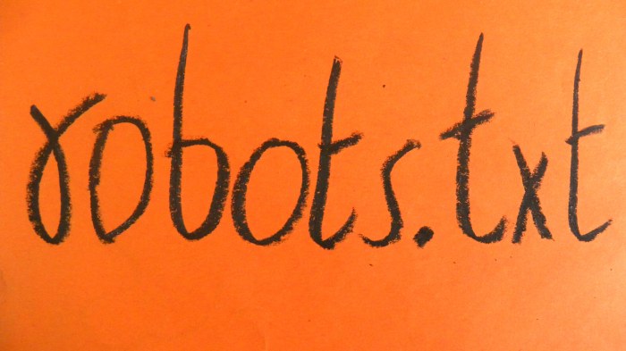 Google ends support robotstxt noindex