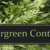Cultivating your evergreen content potential