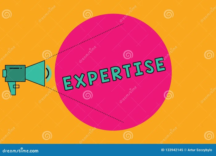 Concept implications meanings evaluation wisdom expertise particular skill knowledge perforanalysisce quality opinion judgment evaluate response instance explanation combining illustrationer wording What is a visible expert