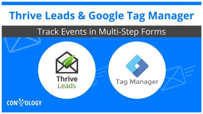 How to add tag manager to thrive landing page