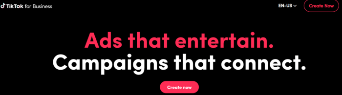 Tiktok launches 1m ad credit program to boost u s small businesses