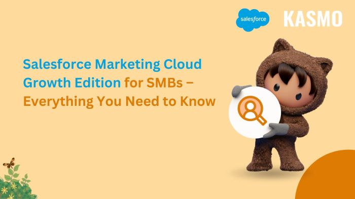 5 ways salesforce marketing cloud supercharges business growth