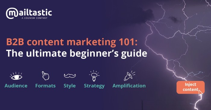The definitive guide to b2c content marketing