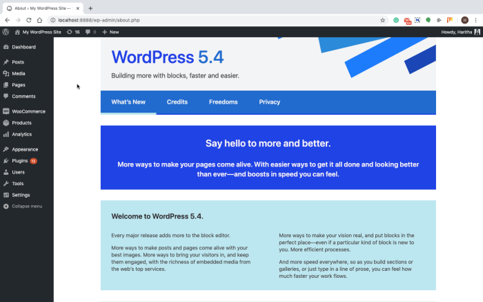 How to check and update to the latest wordpress version