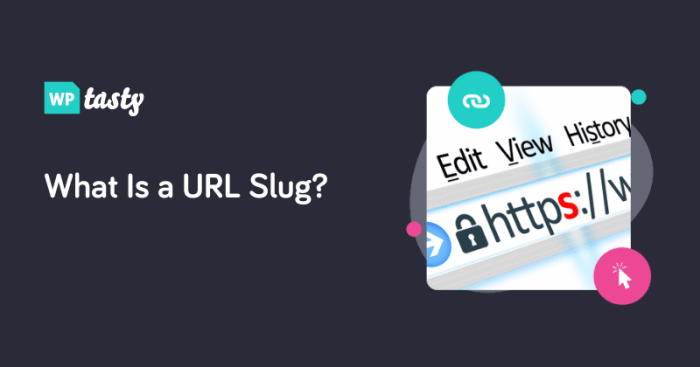 What is a url slug
