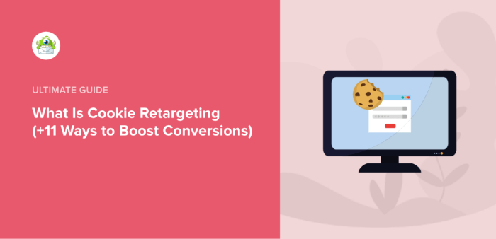 How to use cookie retargeting in wordpress to show custom on site messages