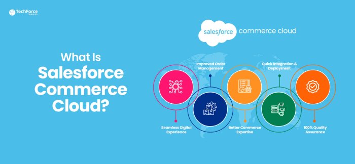 Salesforce commerce cloud services guide