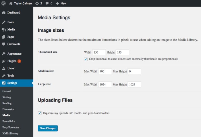 How to easily serve scaled images in wordpress