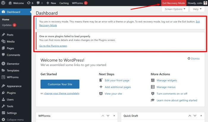 How to use wordpress recovery mode