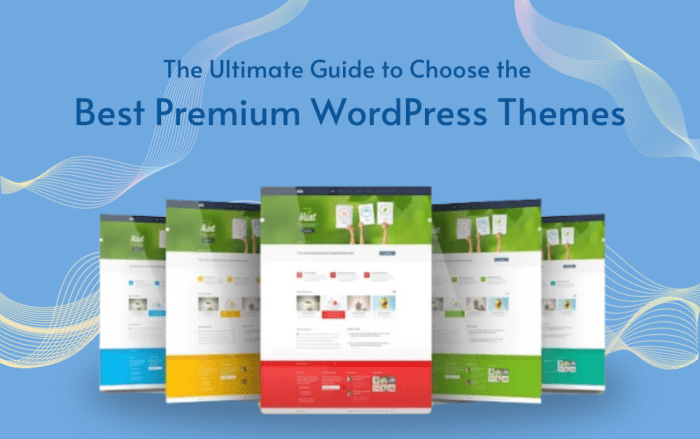 How to choose the best premium wordpress theme for your site