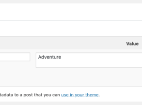 How to add custom fields to comments form in wordpress