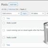 How to limit or disable automatic empty trash in wordpress