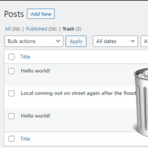 How to limit or disable automatic empty trash in wordpress